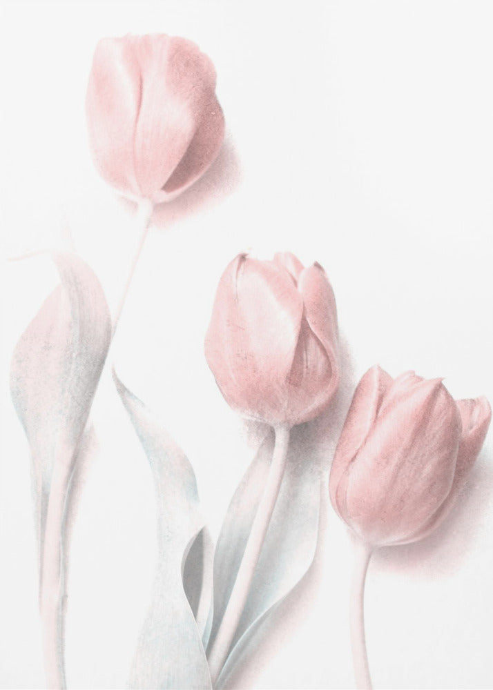 Sweet Pink Flower