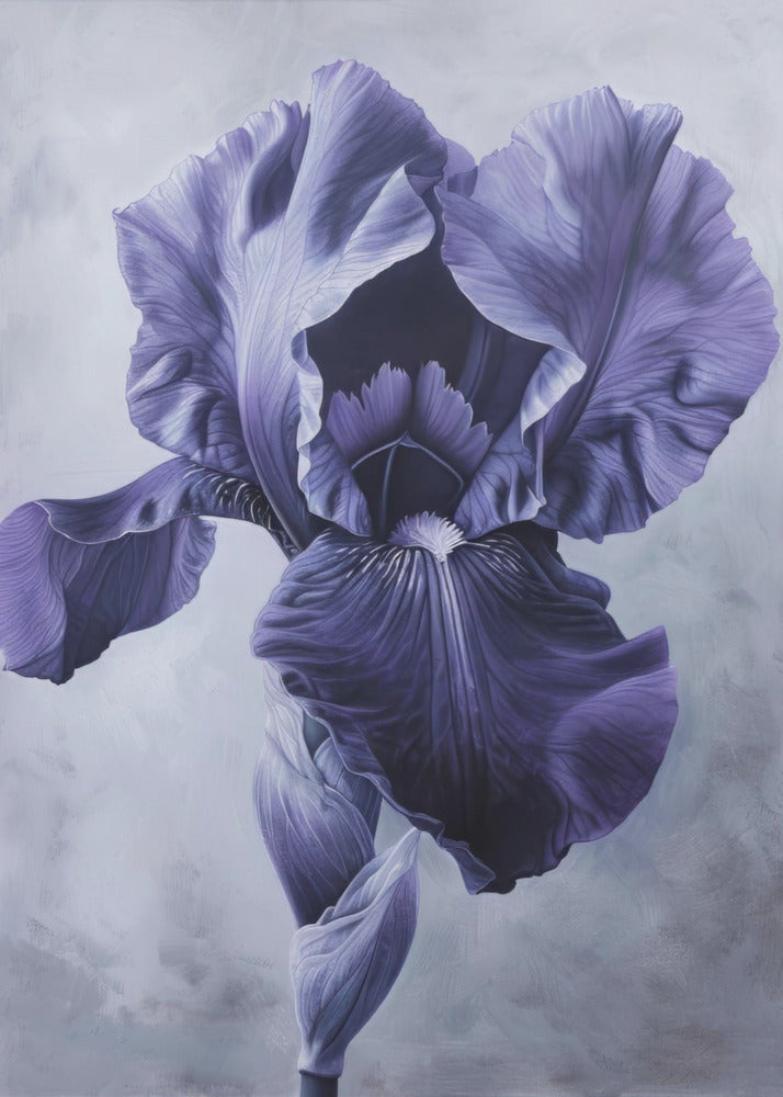 Décoration murale Iris Fl 95