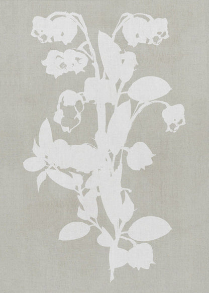 Wall art Botanical Illustration 4