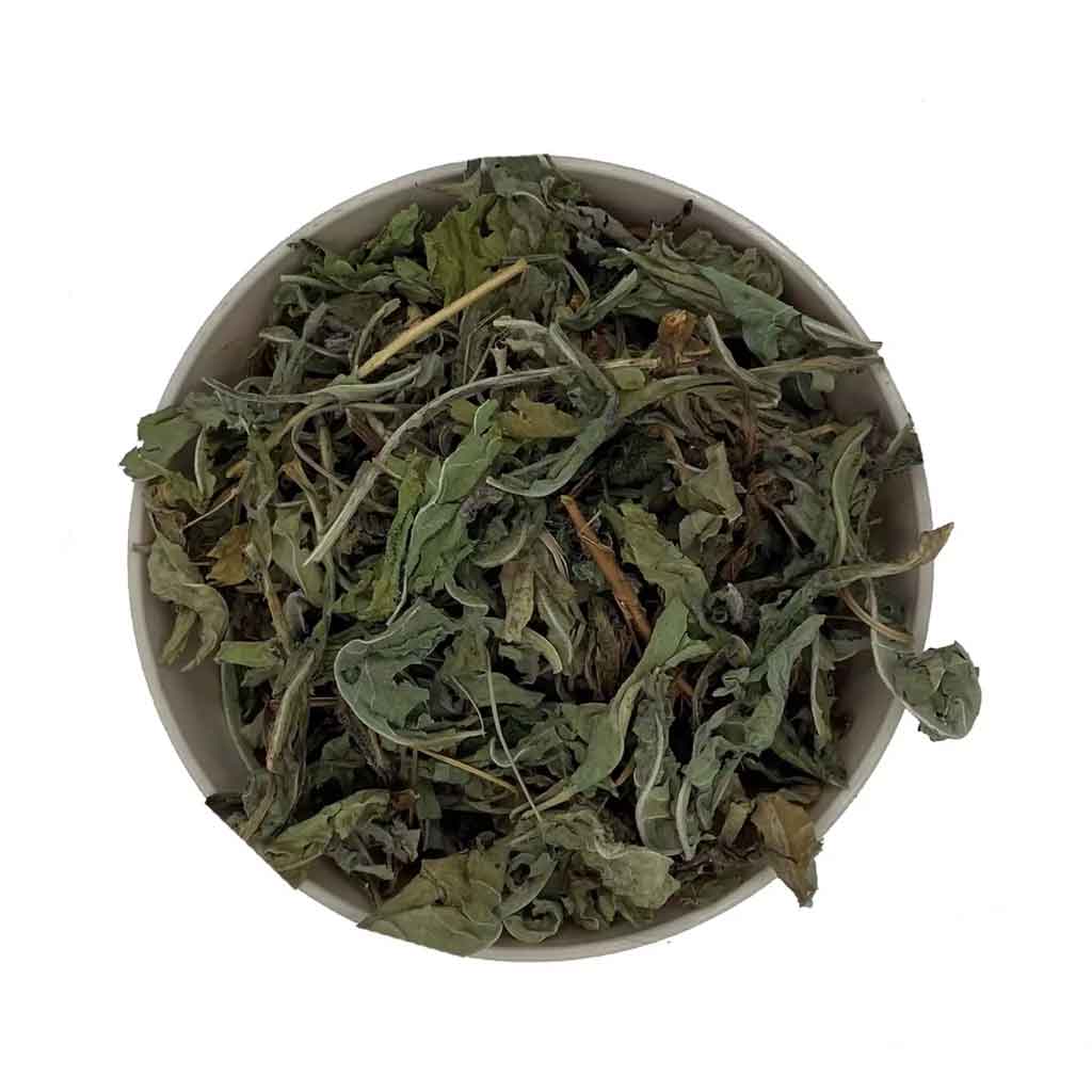 Tisane de feuilles de pissenlit