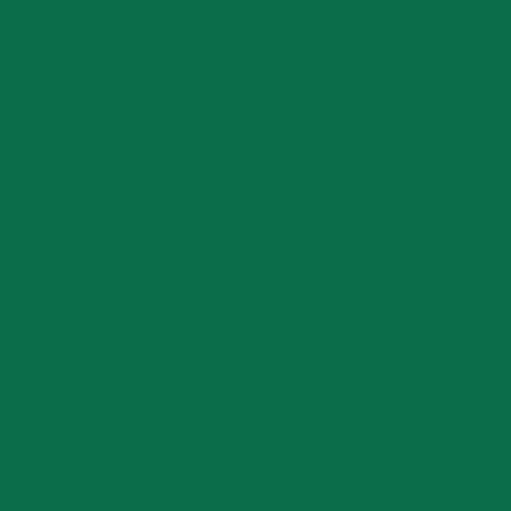 Siser Matte Green Easyweed  12"sheets  and rolls