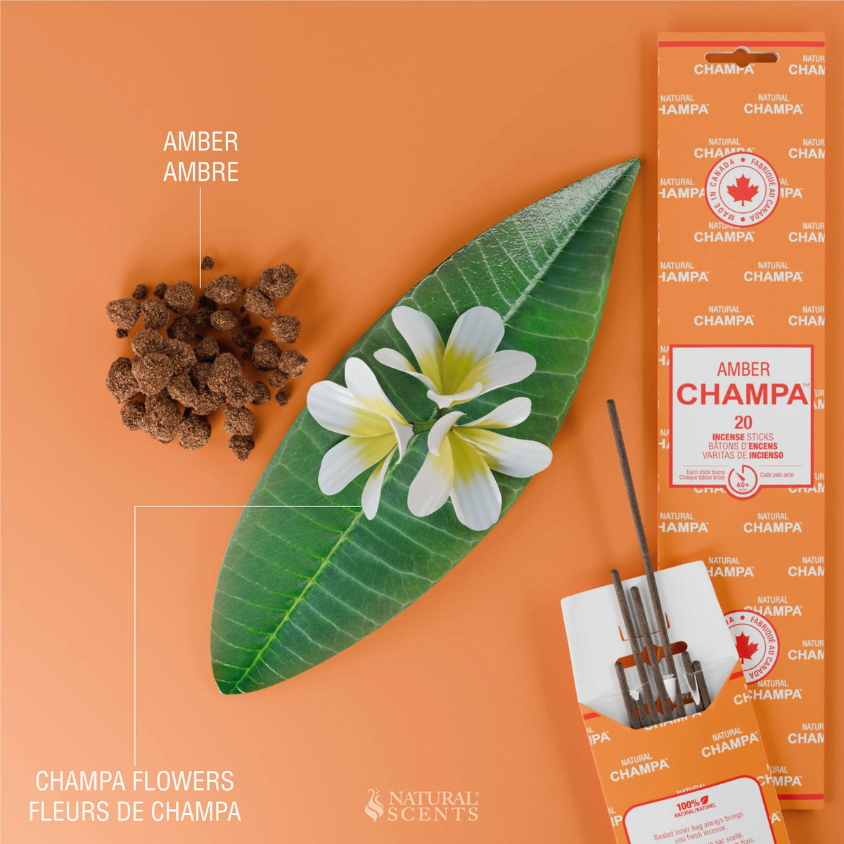 Bâtonnets d'encens Ambre Champa