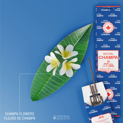 Bâtonnets d'encens Champa Bleu Naturel