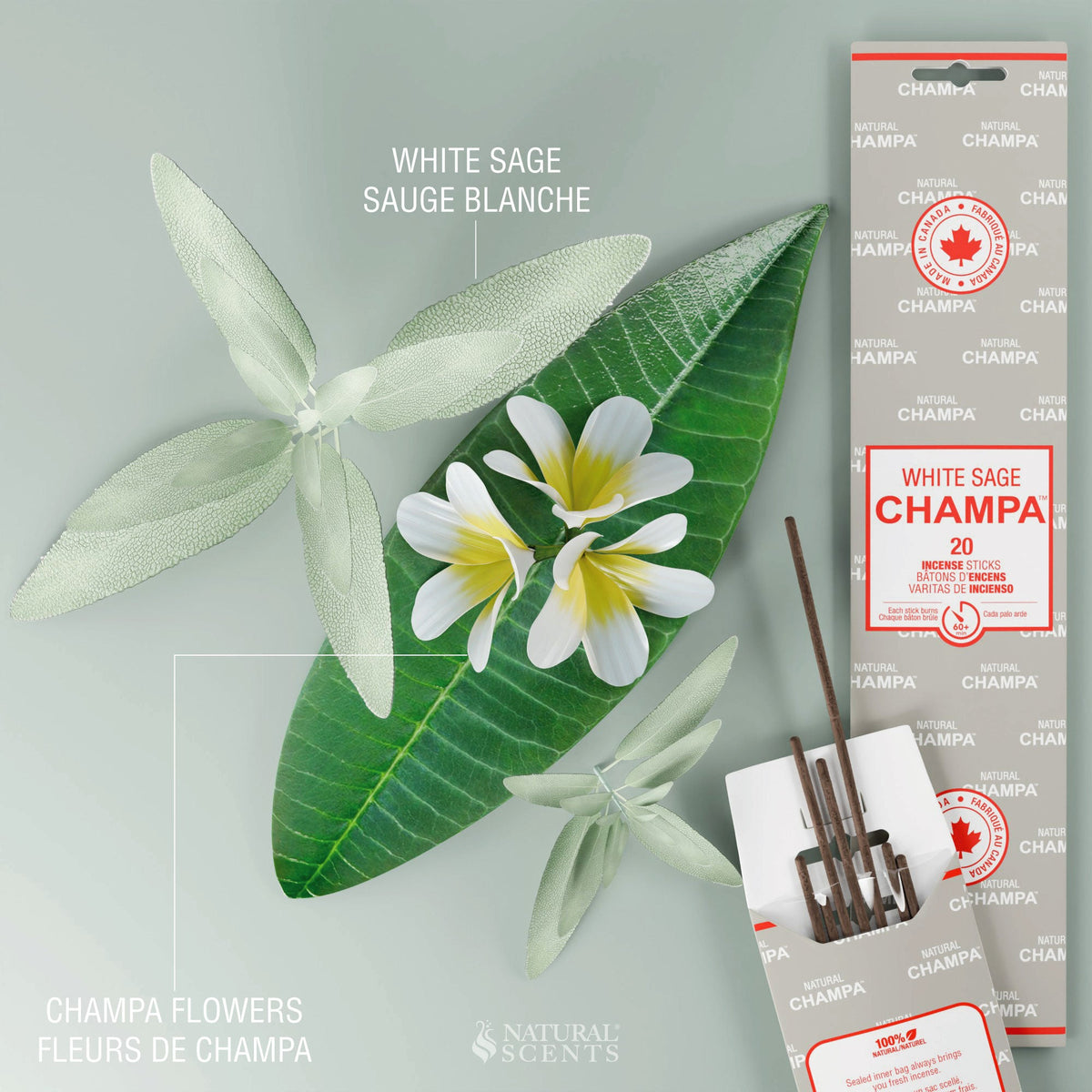 Bâtonnets d'encens Champa à la sauge blanche