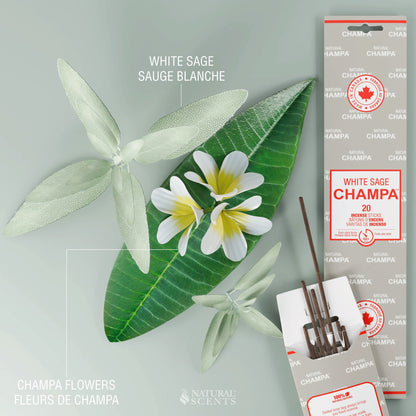 Bâtonnets d'encens Champa à la sauge blanche