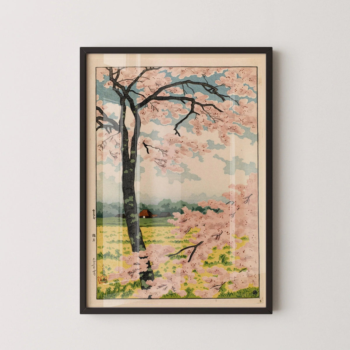 Takahashi Shotei Cherry Blossoms Print: Vintage Japanese Woodblock Art