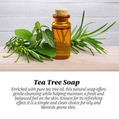 Savon Naturel Arbre à Thé – Soin Rafraîchissant & Purifiant