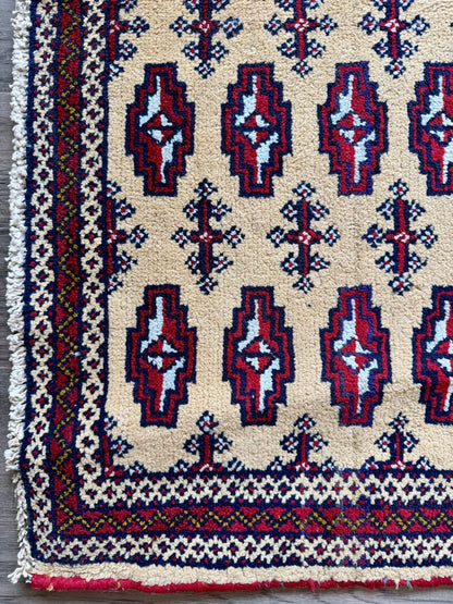 Turkmen Mini Rug | 1' 7" x 3' 3"