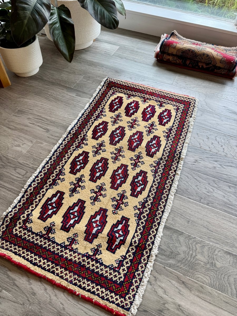Turkmen Mini Rug | 1' 7" x 3' 3"