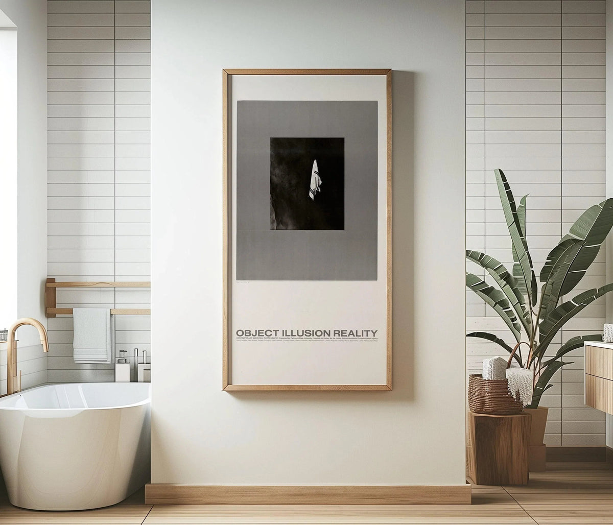 USIA Poster: Object Illusion Reality - Midcentury Modern Giclee Print (2x1)