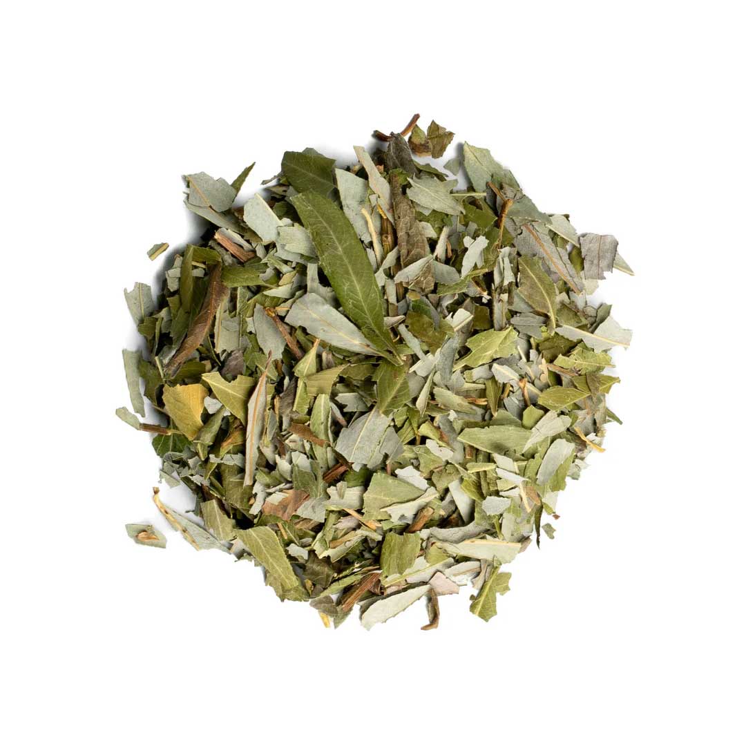Tisane de feuilles de saule blanc – Rayhana Organics